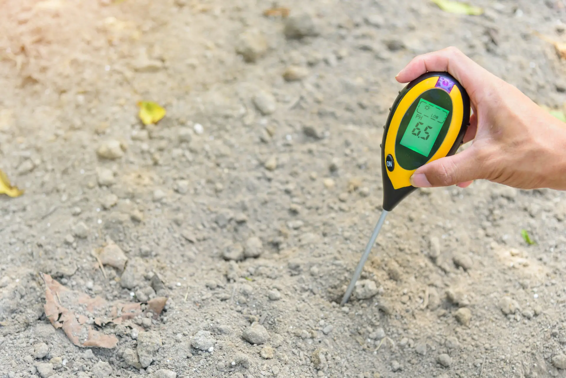 Interpreting Soil Test Results