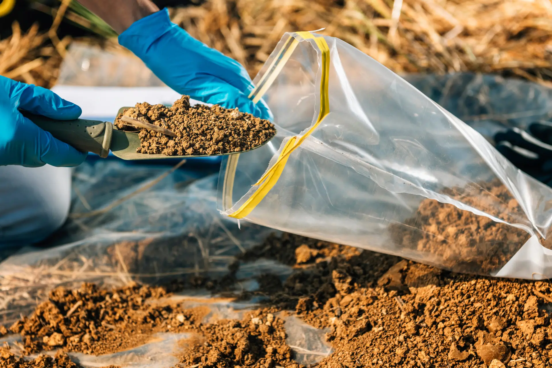 Soil Testing to Achieve a Beautiful Lawn