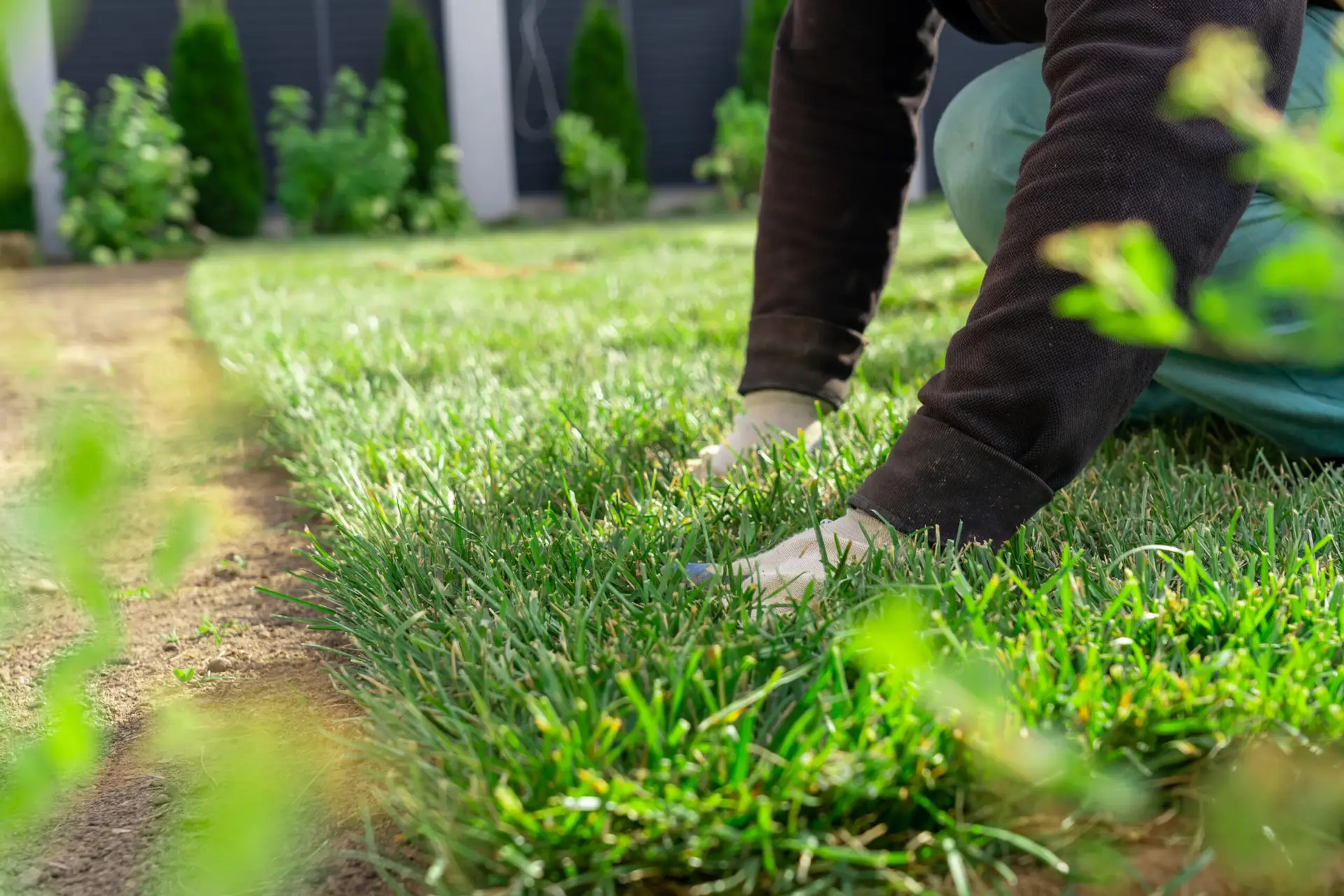 Sod for Sale vs. Other Lawn Alternatives: Why Sod is the Best Choice for Indianapolis Homes