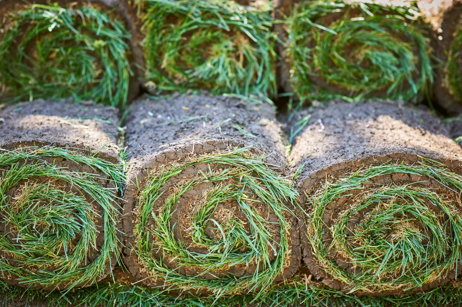 The Cost of Sod Installation in Indianapolis: FAQ