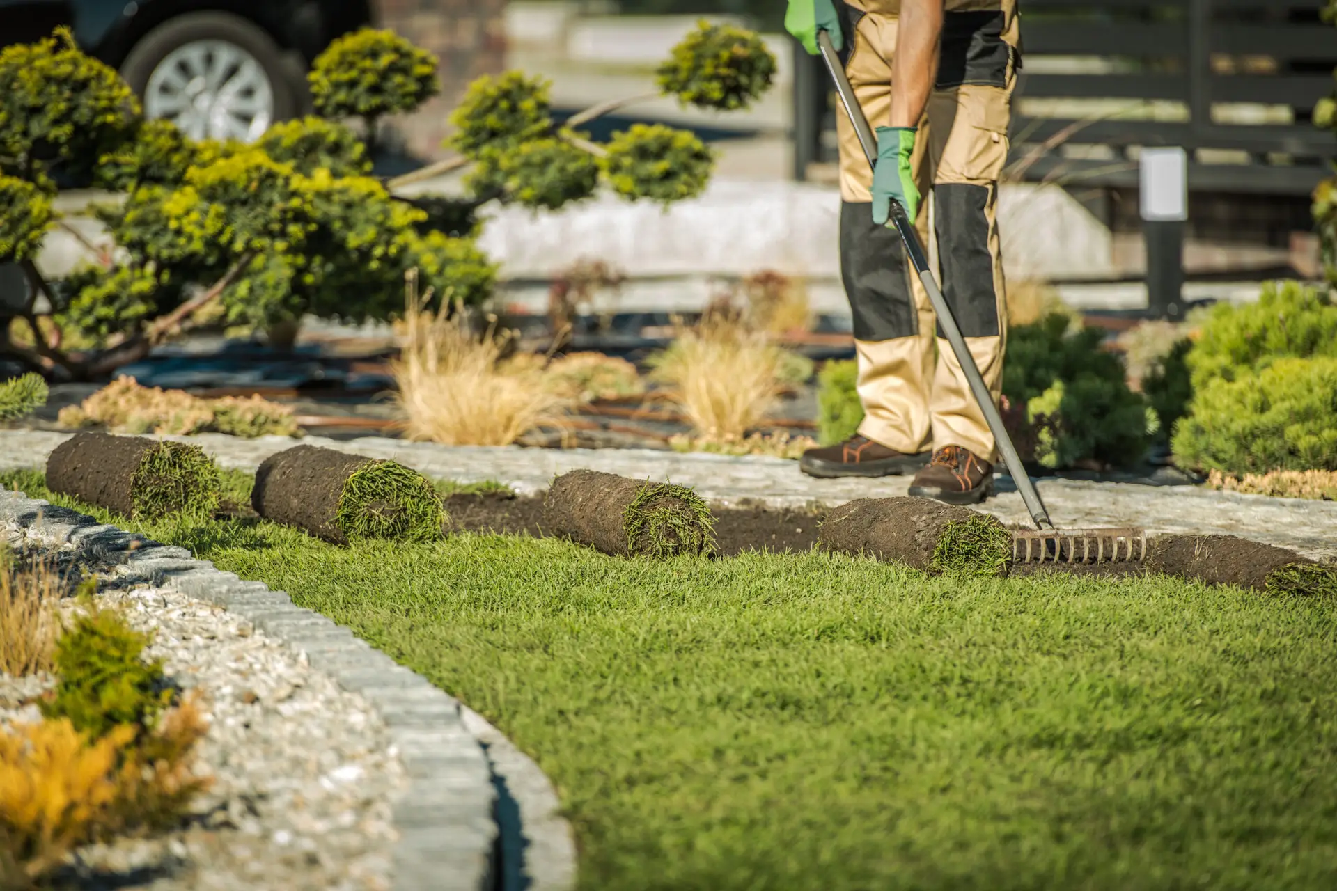 What is the timeframe required for the process of installing a new lawn with sod?