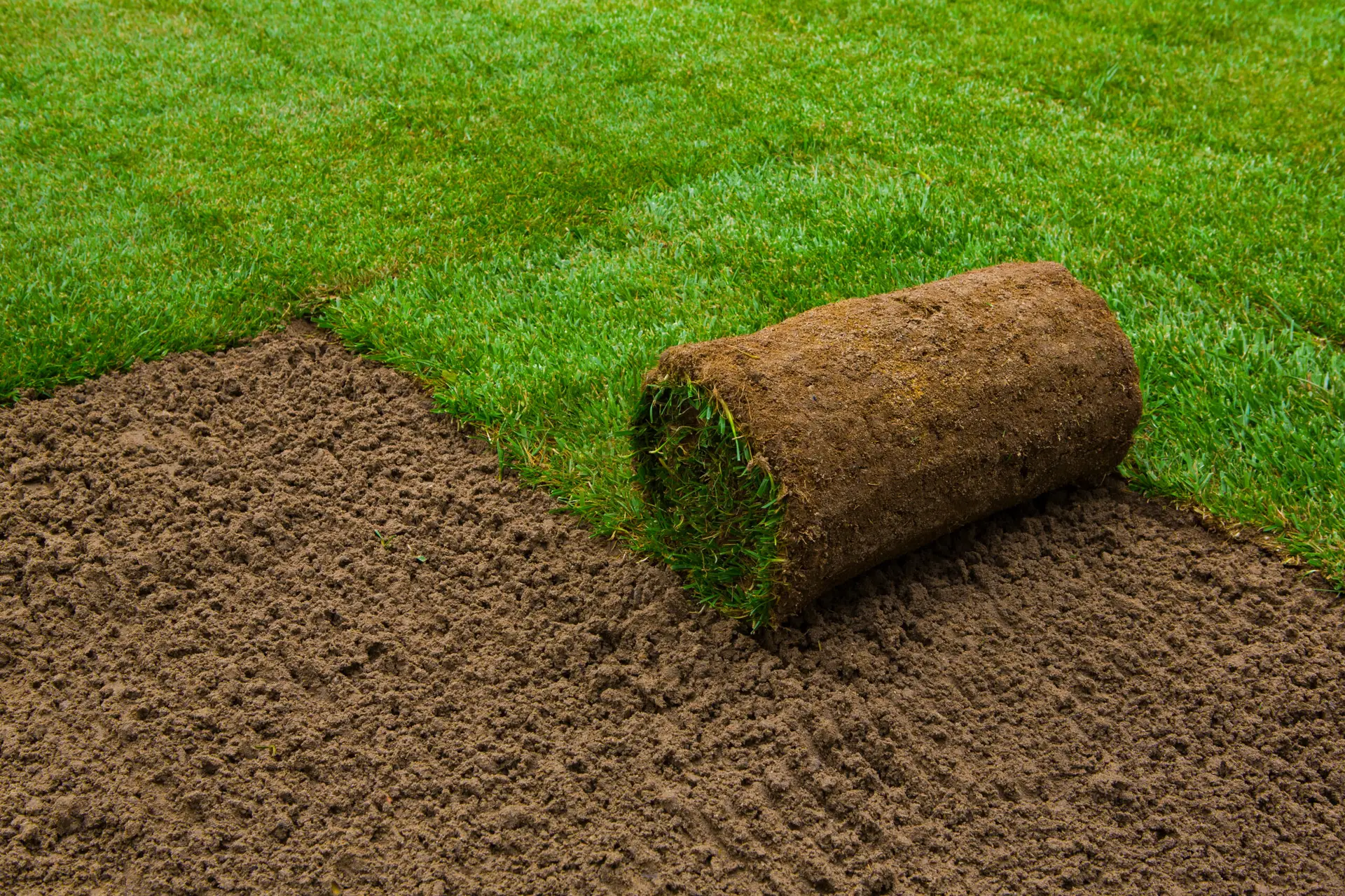 How Long Does the New Lawn Installation Process Take?