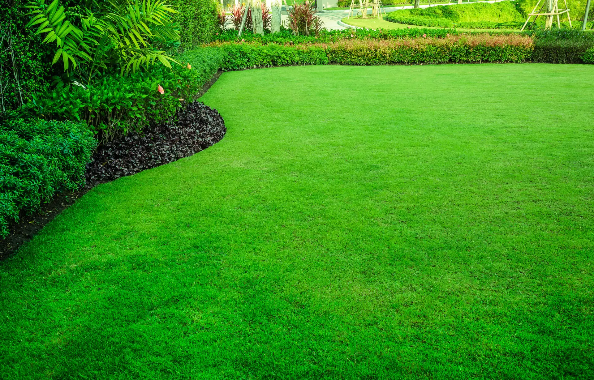 new sod installation Indianapolis