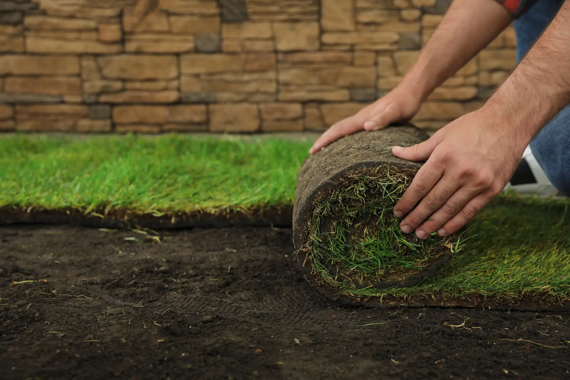 Why Sod Quality Matters - What to Look for in a Local Sod Company