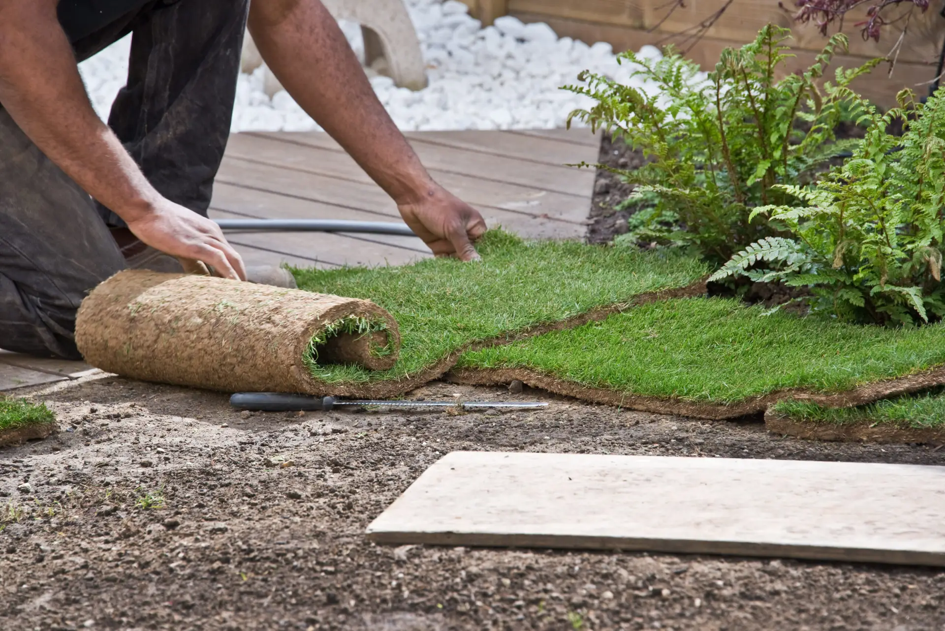 Lawn Sodding Companies Near Me - Finding the Right Company for Your Indianapolis Area Home