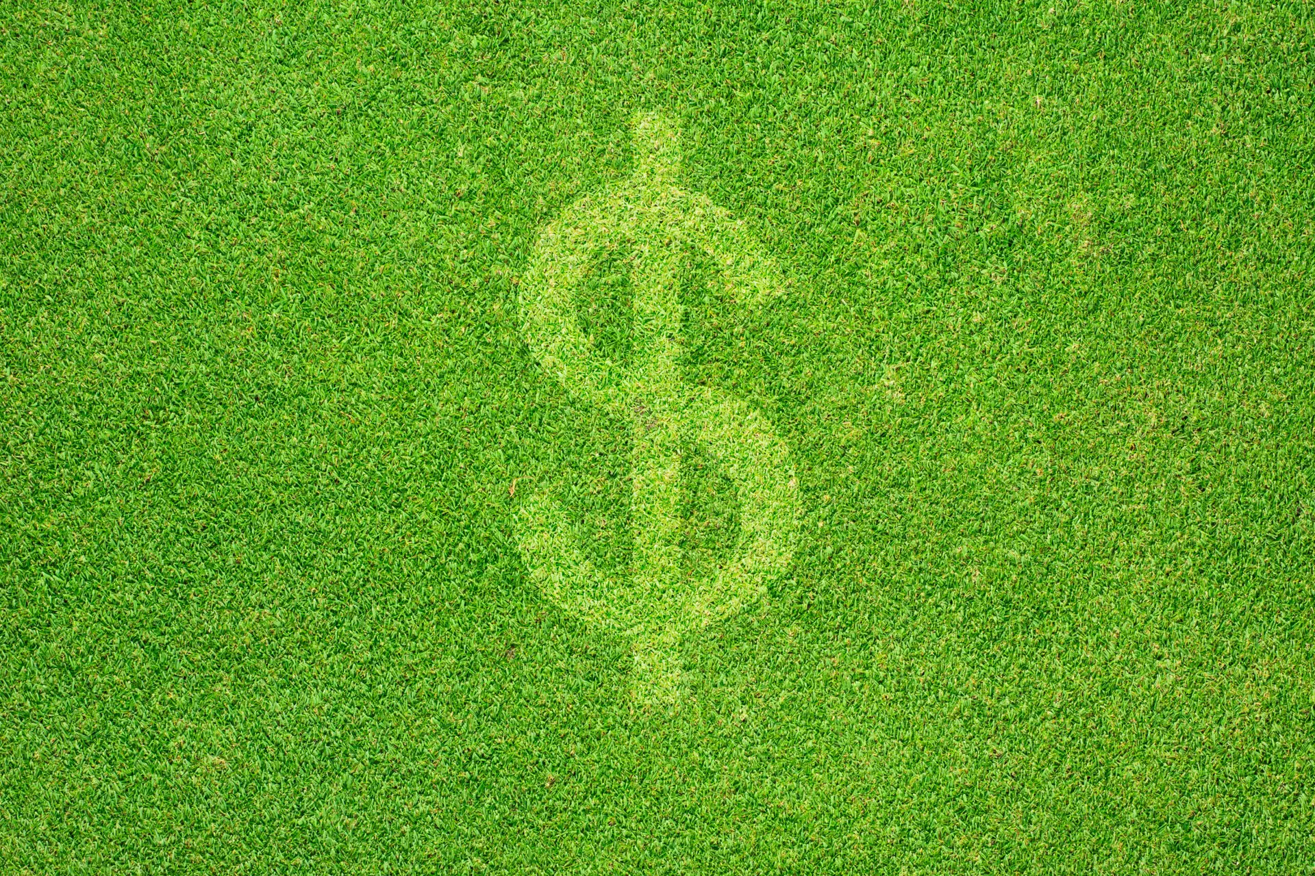 Calculate the Total Cost of Sod for Indianapolis Lawns