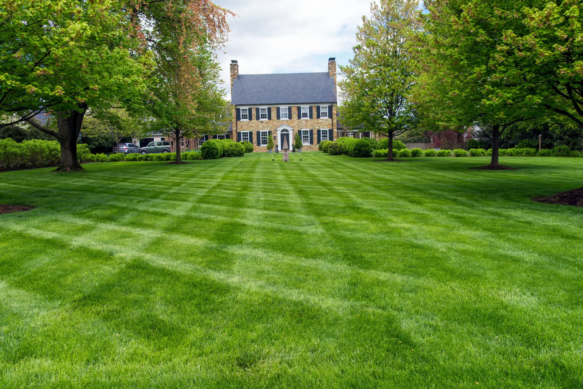 Sod Options Convenient for Indianapolis Lawns