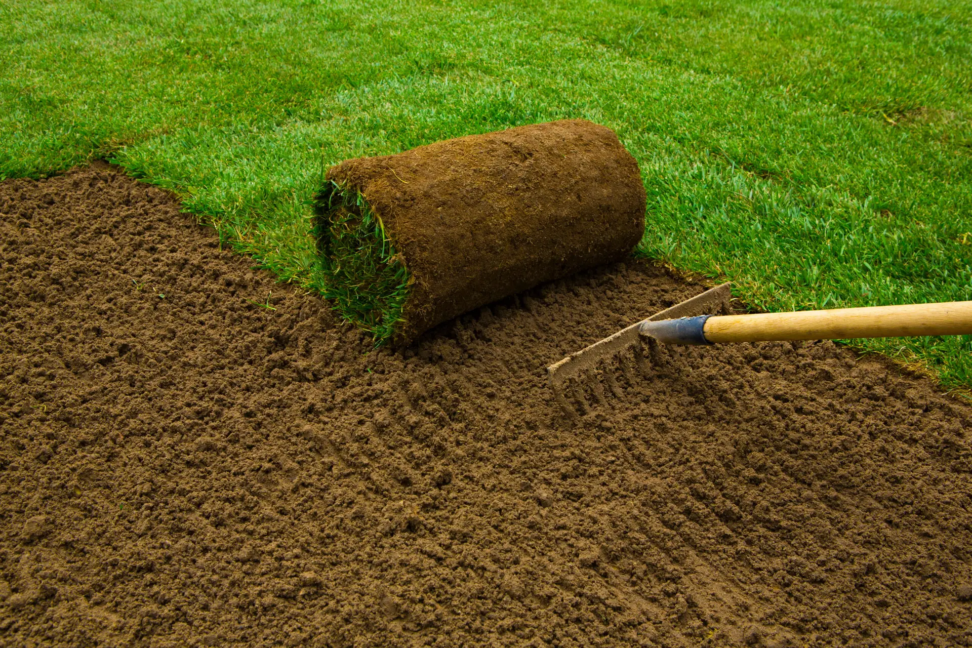 Why Purchase Sod Over Seeding for Indianapolis Lawns