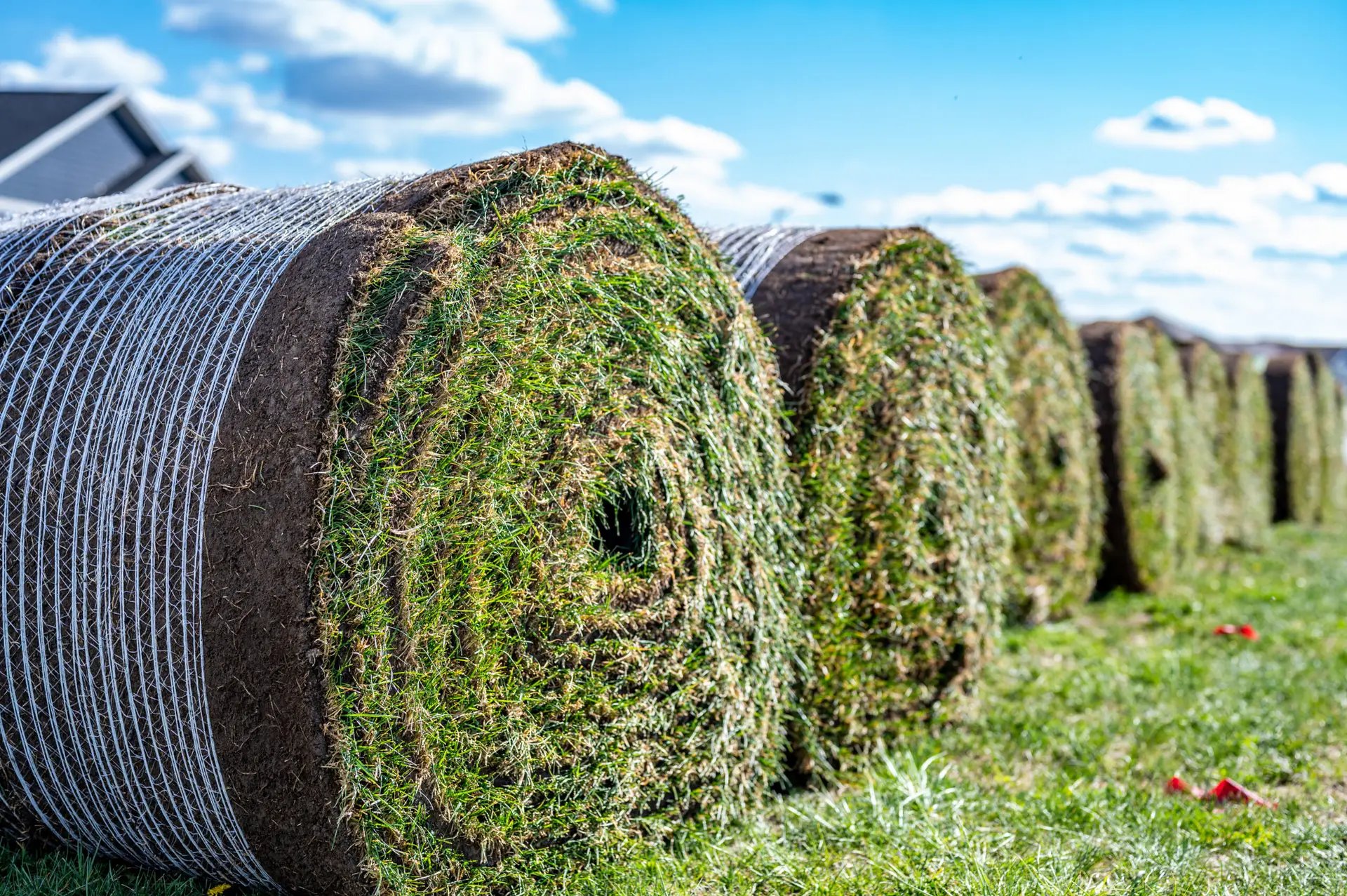 Indianapolis Sod Companies