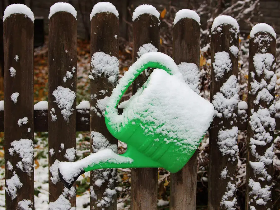 Should You Water Your Lawn in the Winter?